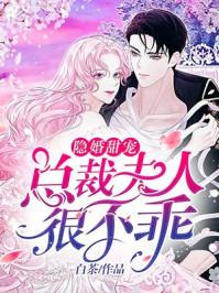 隐婚甜宠：总裁夫人很不乖封面