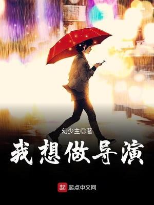 我想做导演封面