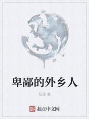 卑鄙的外乡人封面